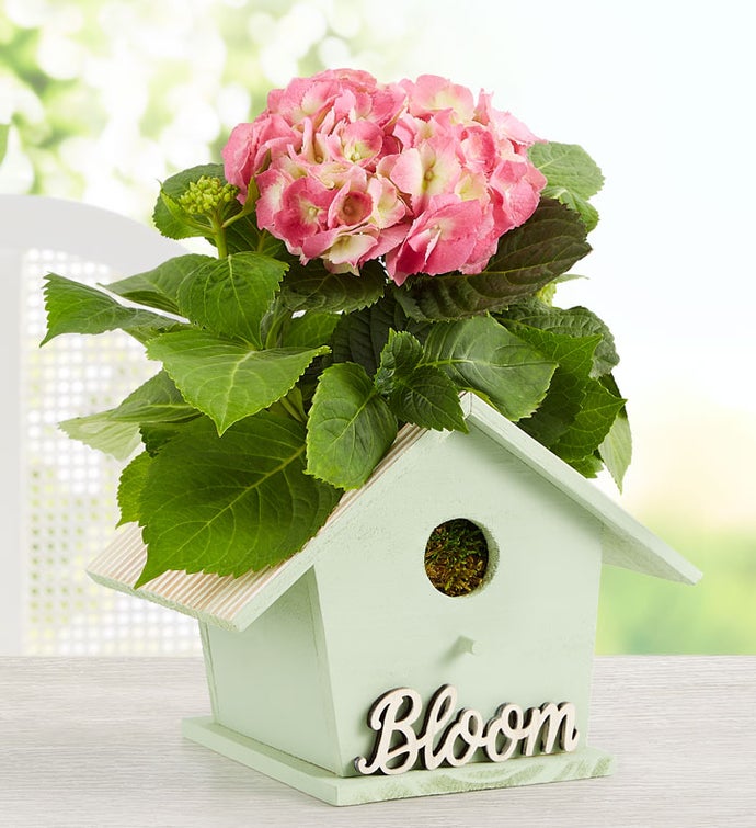 Birdhouse of Blooms®
